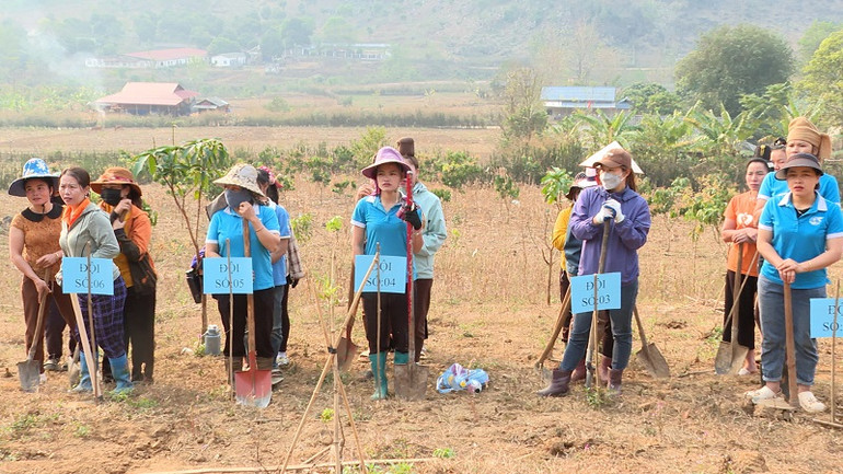 Hội viên phụ nữ hào hứng tham gia hội thi đào hố trồng mắc-ca tại Rạng Đông.