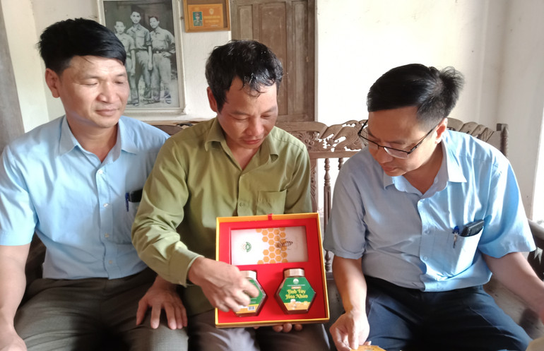 Mật ong Tam Đảo được thành phố Phổ Yên hỗ trợ thiết kế, in bao bì, nhãn mác, tem truy xuất nguồn gốc để mở rộng thị trường tiêu thụ.