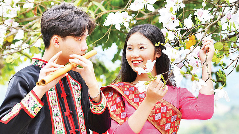 Hoa ban từ lâu đã đi vào đời sống văn hóa tinh thần của người dân Tây Bắc.