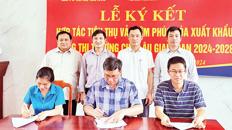 Ký kết hợp tác tiêu thụ vải sớm Phúc Hòa vào thị trường châu Âu. (Ảnh HẢI VÂN)