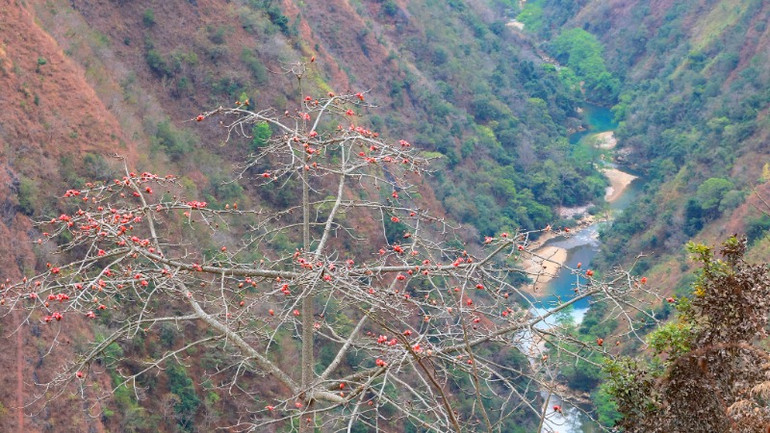 Vẻ đẹp nên thơ của núi rừng.