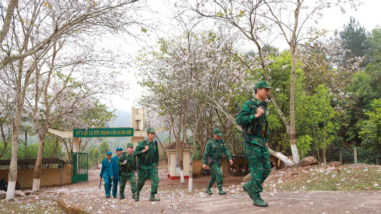 Bây giờ, giữa mùa hoa ban nở.