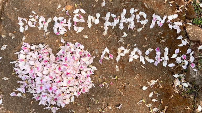 Một món quà mùa xuân.