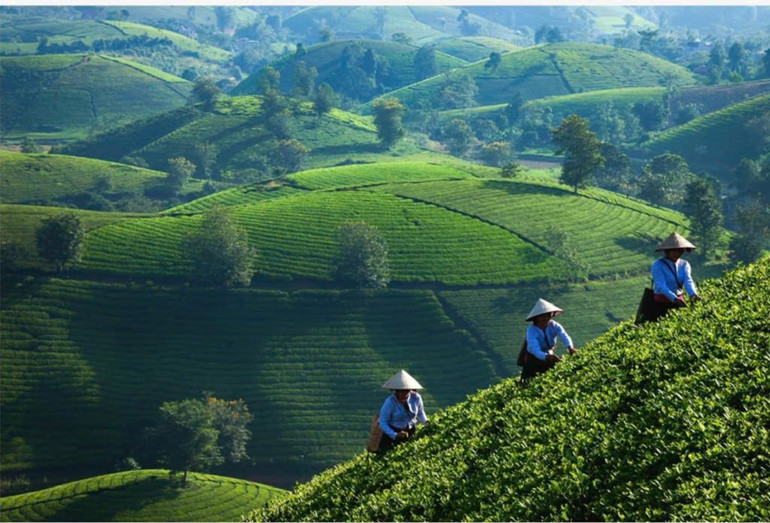 Những tác phẩm nhiếp ảnh tôn vinh vẻ đẹp của con người và cuộc sống.