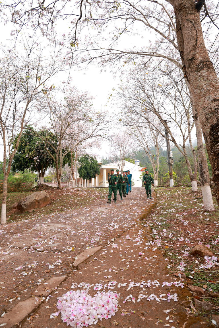 Cảnh sắc núi rừng quá đỗi nên thơ.