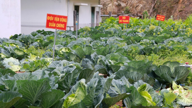 Vườn rau tăng gia của Đồn Biên phòng Lũng Cú.