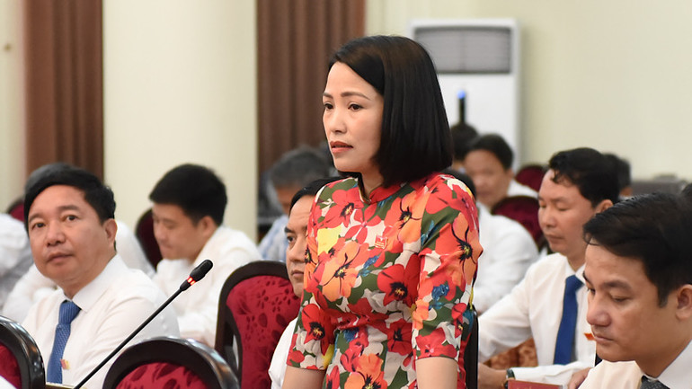 Đại biểu Hội đồng nhân dân tỉnh Nam Định đặt câu hỏi chất vấn về lĩnh vực y tế.