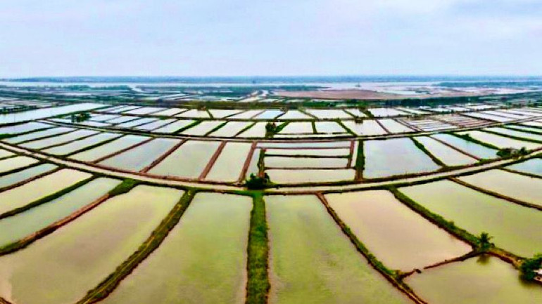 Khu vực Cồn Xanh, huyện Nghĩa Hưng (Nam Định) thu hút các dự án của Tập đoàn Xuân Thiện, hiện đang vướng mắc về giải phóng mặt bằng.