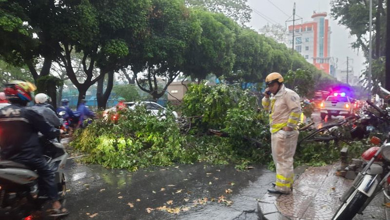 Lực lượng Cảnh sát giao thông xử lý cây ngã đổ, điều tiết giao thông.