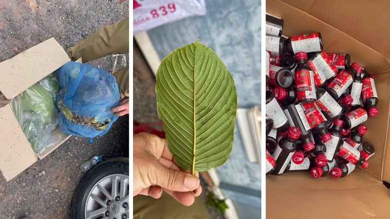 Số lá khát và nước vui bị lực lượng chức năng thu giữ. (Ảnh: Công an Điện Biên) Số lá khát và nước vui bị lực lượng chức năng thu giữ. (Ảnh: Công an Điện Biên)