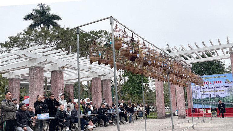 Hội thi “Tiếng hót chim vành khuyên" trong không gian Chợ Tết "Một thoáng Thành Nam" thu hút đông đảo người dân tham dự. (Ảnh: XUÂN TRƯỜNG)
