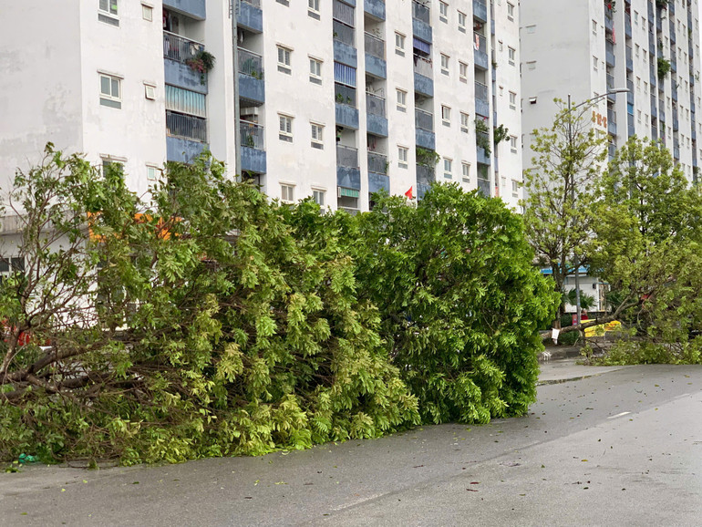 Khẩn trương khắc phục hậu quả, cứu người mắc kẹt, mất tích trong bão số 3 ảnh 9