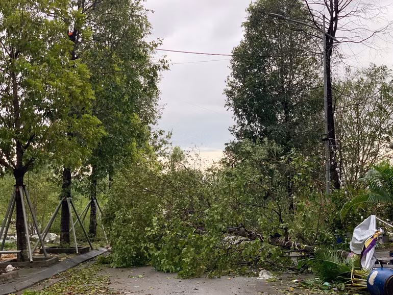 Khẩn trương khắc phục hậu quả, cứu người mắc kẹt, mất tích trong bão số 3 ảnh 8