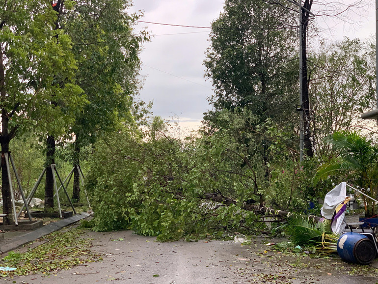 Khẩn trương khắc phục hậu quả, cứu người mắc kẹt, mất tích trong bão số 3 ảnh 10