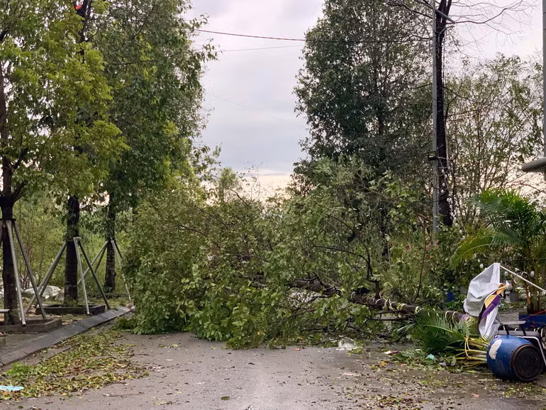 Khẩn trương khắc phục hậu quả, cứu người mắc kẹt, mất tích trong bão số 3 ảnh 10