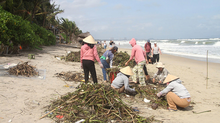 Người dân địa phương cùng chính quyền địa phương ra quân dọn dẹp rác thải ở bãi biển.