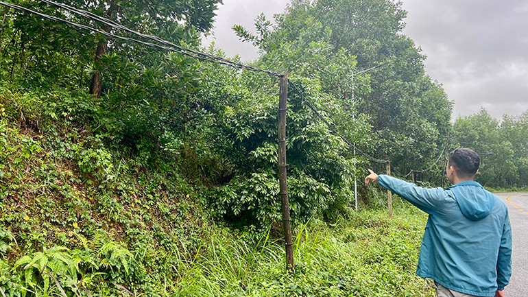 Hệ thống lưới điện nông thôn ở Quảng Nam cần sớm được đầu tư, nâng cấp.