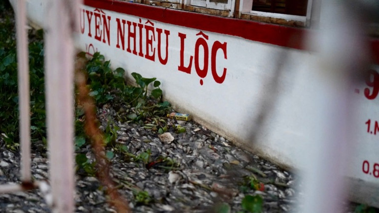 Cá chết dày đặc cạnh nhiều chiếc thuyền du lịch. (Ảnh: MINH TÂM) Cá chết dày đặc cạnh nhiều chiếc thuyền du lịch. (Ảnh: MINH TÂM)