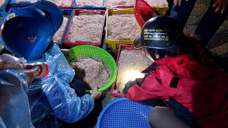 Anh Võ Hoàng Trung, ngư dân phường Nghi Thủy cho biết, hôm qua thuyền anh xúc được 5 tạ ruốc, hôm nay được hơn 3 tạ. Ruốc khi đánh bắt về được bán cho các cơ sở chế biến mắm tôm, phơi sấy, giá từ 10 – 13 nghìn đồng/tạ, tùy theo chất lượng.