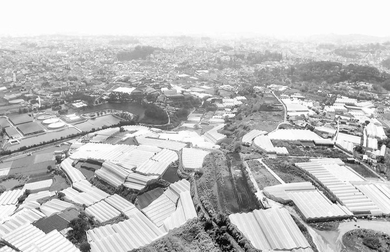 Nhà kính sản xuất nông nghiệp là một trong những nguyên nhân gây ngập cục bộ tại thành phố Đà Lạt (Lâm Đồng) thời gian qua. (Ảnh MAI VĂN BẢO)