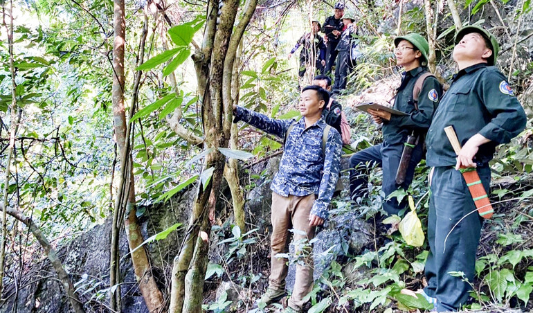 Kiểm lâm Ban Quản lý rừng đặc dụng và phòng hộ tỉnh Thái Nguyên tăng cường kiểm tra phòng cháy rừng.