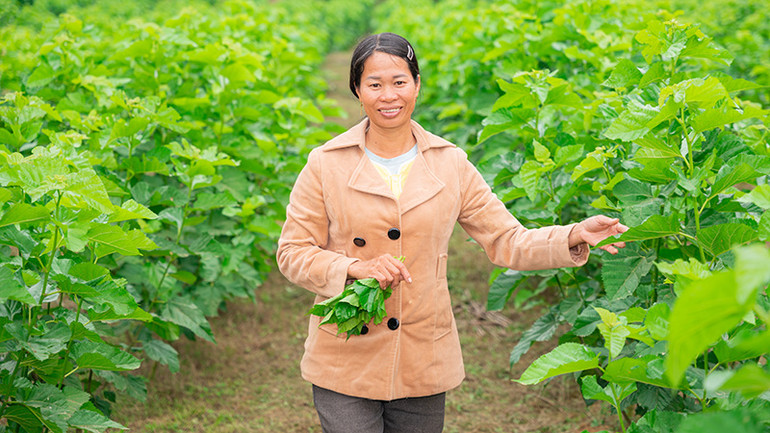 Phụ nữ nông thôn tham gia dự án an sinh xã hội thúc đẩy các thực hành nông nghiệp bền vững, nâng cao năng suất và hỗ trợ sinh kế. (Ảnh: CARE Việt Nam ) phu-nu-tham-gia-lam-dau-nuoi-tam-du-an-care-3643-2001.jpg