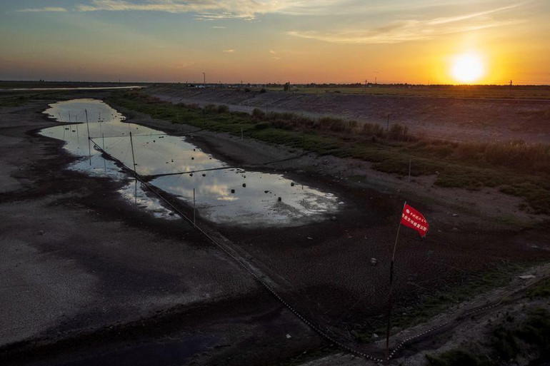 Một trang trại thử nghiệm môi trường sống của cá ở hồ Poyang. Ảnh: Reuters