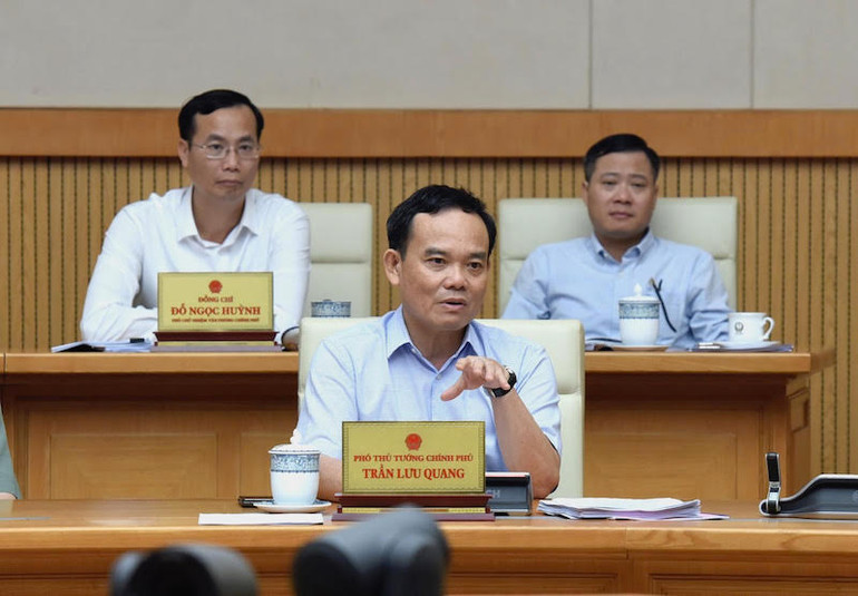 Phó Thủ tướng Trần Lưu Quang phát biểu tại phiên họp.