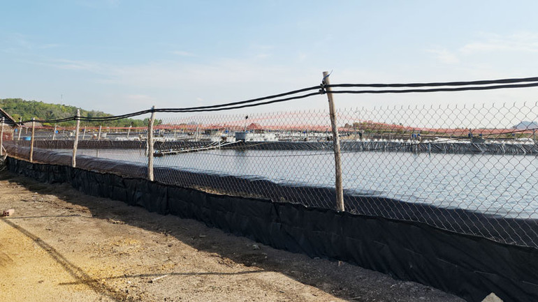 Cơ sở nuôi tôm công nghệ cao.