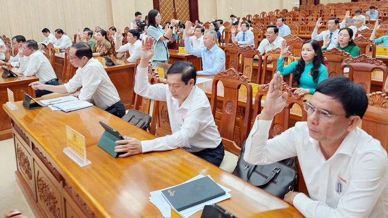 Đại biểu biểu quyết thông qua nhiều nghị quyết quan trọng.