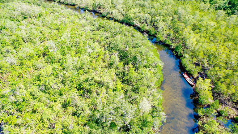 Một góc Rạch Tràm, xã Bãi Thơm, thành phố Phú Quốc.