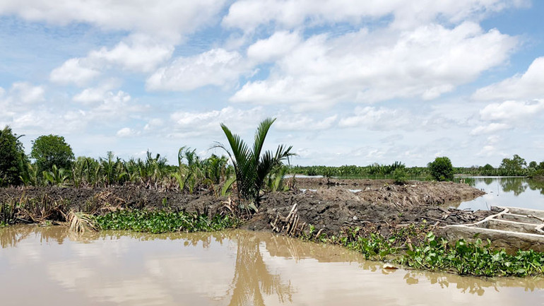 Nhiều vị trí đất tại đầm Đông Hồ bị bao chiếm.