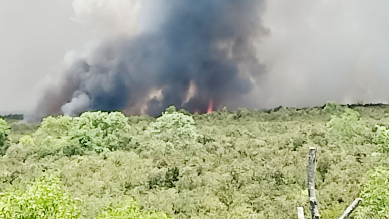 Vụ cháy rừng chiều 28/4. (Ảnh: PHƯƠNG VŨ)