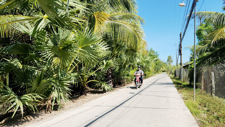 Lộ giao thông nông thôn xã Hưng Yên, huyện An Biên.