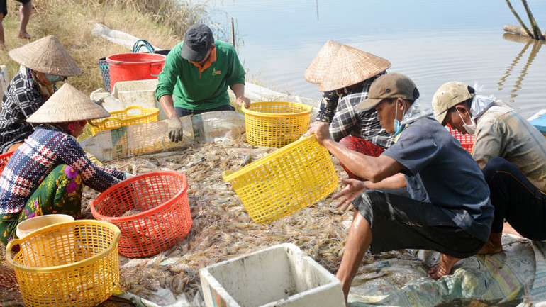 Nuôi trồng thủy sản là thế mạnh của huyện An Biên.