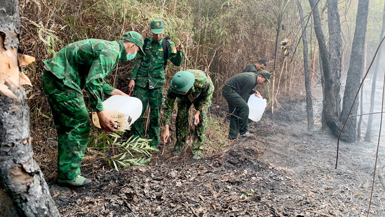 Cán bộ, chiến sĩ Biên phòng Xà Lực ngăn đám cháy ở bìa rừng lan sang Vườn quốc gia Phú Quốc.