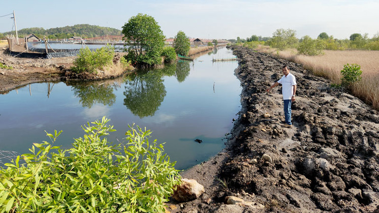 Dòng kênh Đồn Tả và kênh Bà Lý bị ô nhiễm môi trường, gây chết hàng loạt tôm, cua, cá nuôi của các hộ nuôi quảng canh.