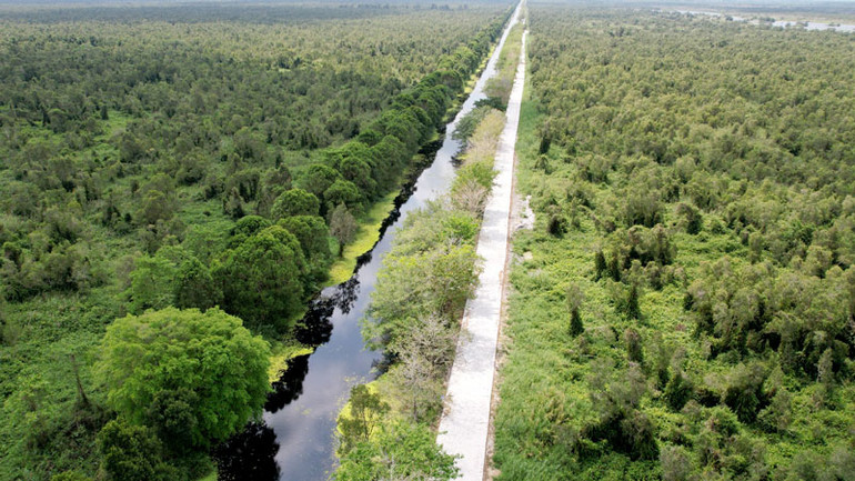 Một góc Vườn quốc gia U Minh Thượng.