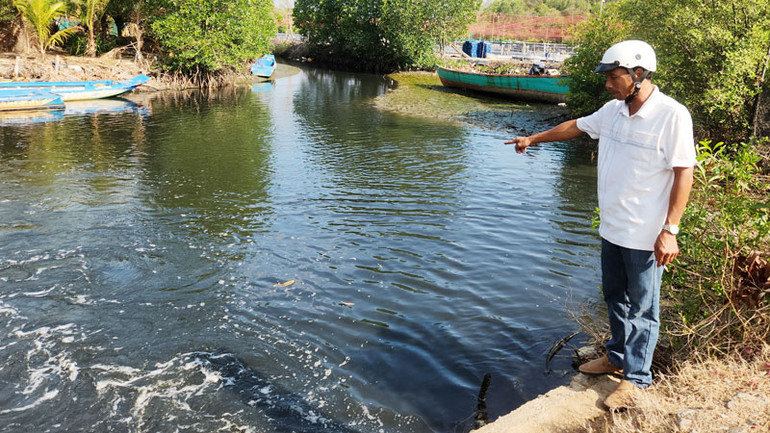 Nguồn nước ô nhiễm xả thải ra môi trường gây chết hàng loạt tôm, cua, cá nuôi và bờ biển.