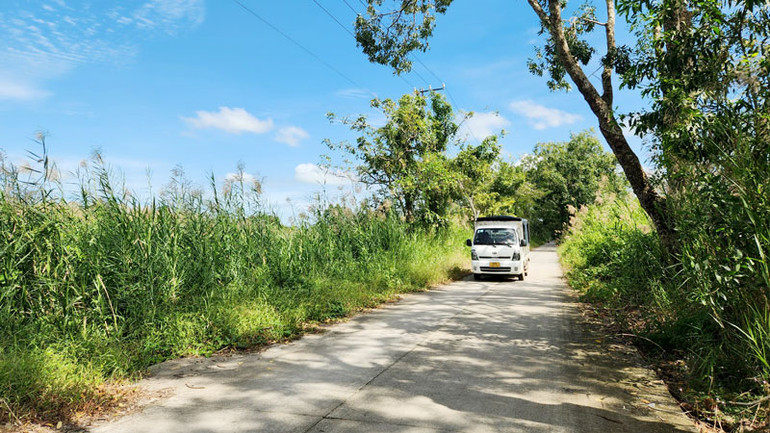 Đường vào trung tâm Vườn quốc gia U Minh Thượng.