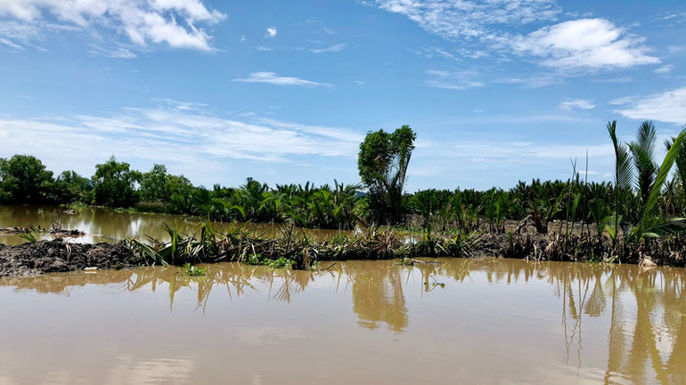 Nhiều vị trí tại đầm Đông Hồ bị chiếm.