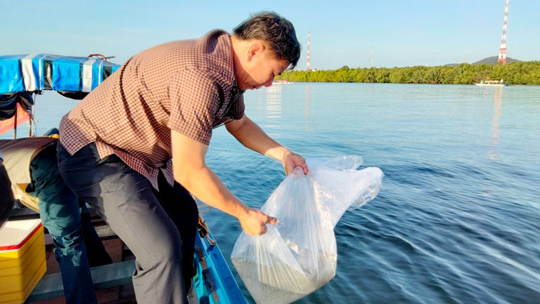 Thả con giống tái tạo nguồn lợi thủy sản tại khu vực ven biển thành phố Hà Tiên, tỉnh Kiên Giang. Thả con giống tái tạo nguồn lợi thủy sản tại khu vực ven biển thành phố Hà Tiên, tỉnh Kiên Giang.