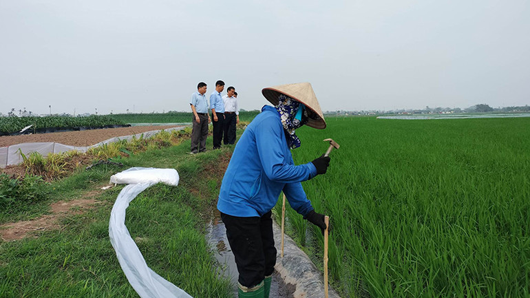 Người dân phường An Tảo, thành phố Hưng Yên túc trực để lấy nước vào ruộng. (Ảnh: Văn Lúa)