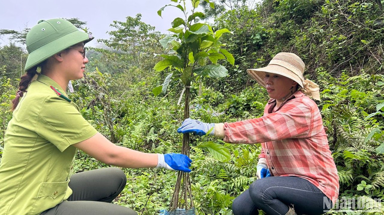 4 năm gắn bó với công việc kiểm lâm, chị Hà Thị Quỳnh luôn cảm thấy hạnh phúc và tự hào mỗi khi được cùng bà con dân bản ươm trồng những mầm xanh cho tương lai.