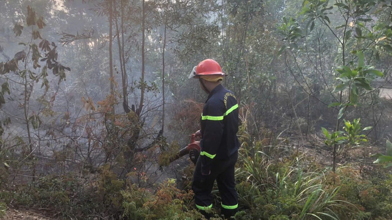 Lực lượng chức năng có mặt kịp thời dập tắt cháy rừng phòng hộ ở Sóc Sơn (Hà Nội).