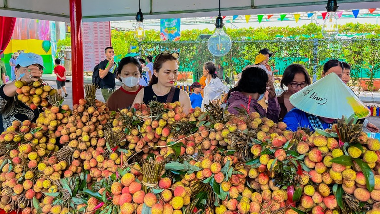 Gian hàng bán sản phẩm trái cây của các tỉnh bạn.