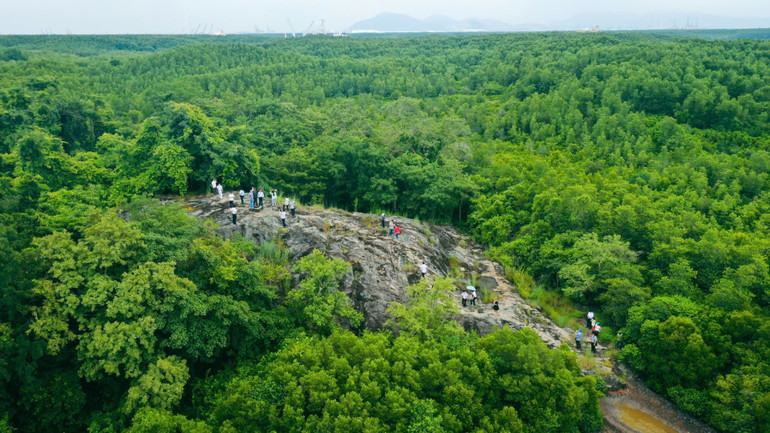 Du khách tham quan rừng Cần Giờ, Thành phố Hồ Chí Minh. Ảnh: CTV Du khách tham quan rừng Cần Giờ, Thành phố Hồ Chí Minh. Ảnh: CTV