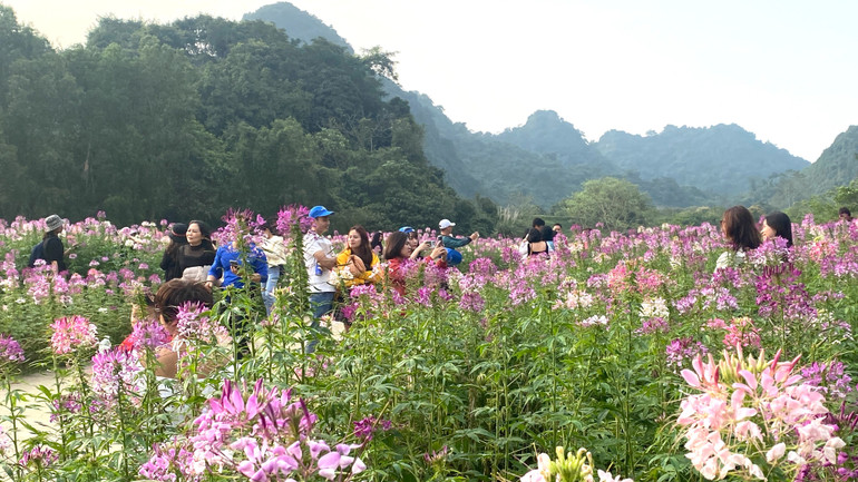 Đông đảo du khách tới tham quan khu du lịch Vườn chim Thung Nham, Ninh Bình. (Ảnh: Lê Hồng)