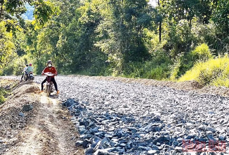 Giáo viên ở vùng sâu Đắk Lắk vượt rừng đến điểm thi từ sớm -0