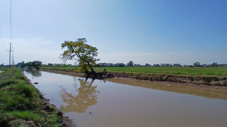 Phong cảnh làng quê bình yên.